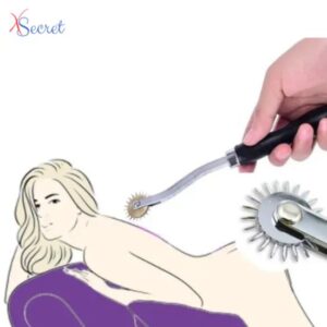 bdsm-stainless-steel-pinwheel